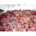Economic crop fresh red grape